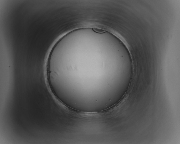 X0000100471152200806271136