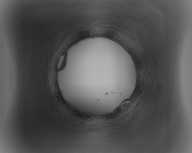 X0000100471153200806271136