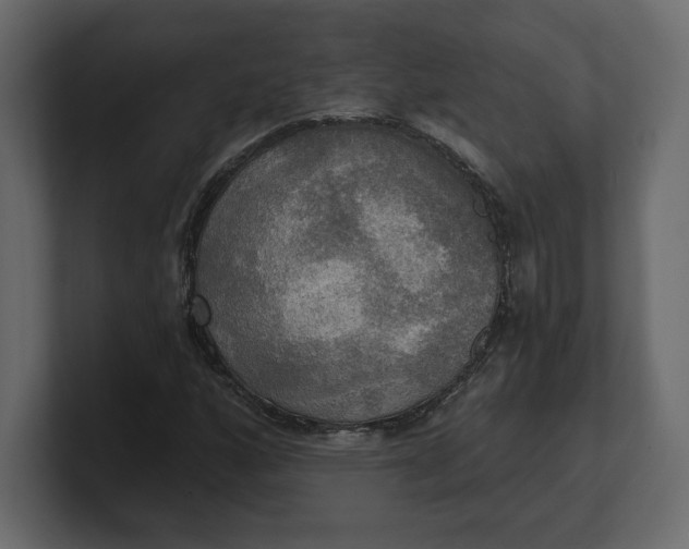 X0000100471160200806271136