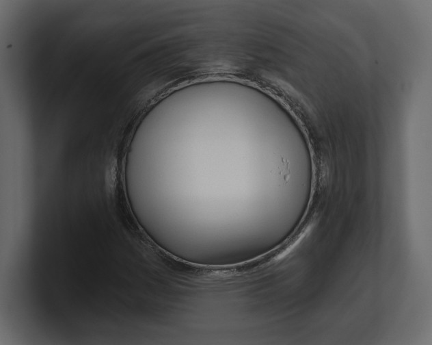 X0000100471161200806271136