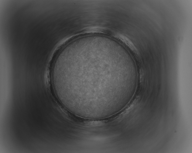 X0000100471164200806271136