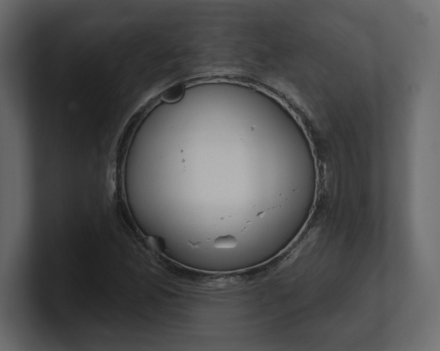 X0000100471165200806271136