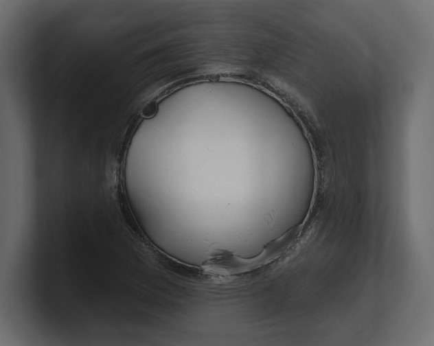 X0000100471169200806271135