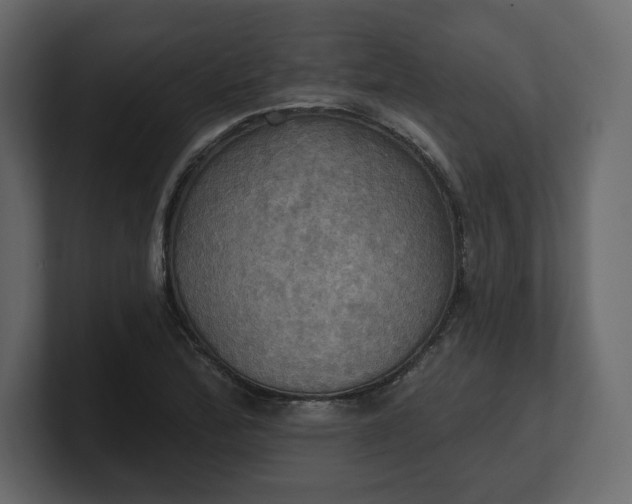 X0000100471172200806271135