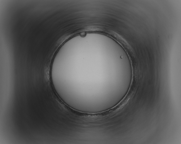 X0000100471177200806271135