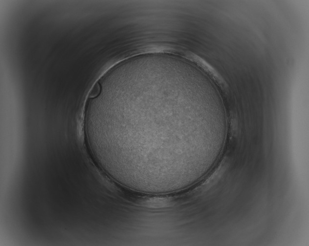 X0000100471178200806271135