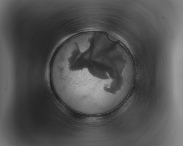 X0000100471179200806271135