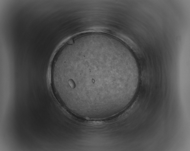 X0000100471180200806271135