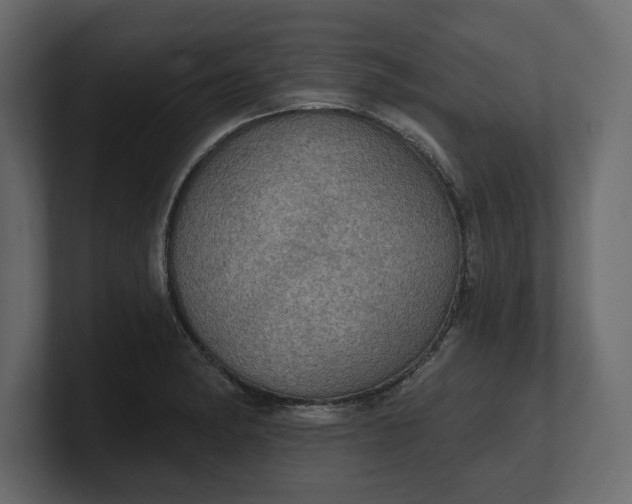 X0000100471182200806271135