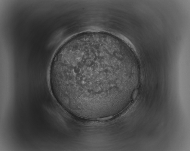 X0000100471183200806271135