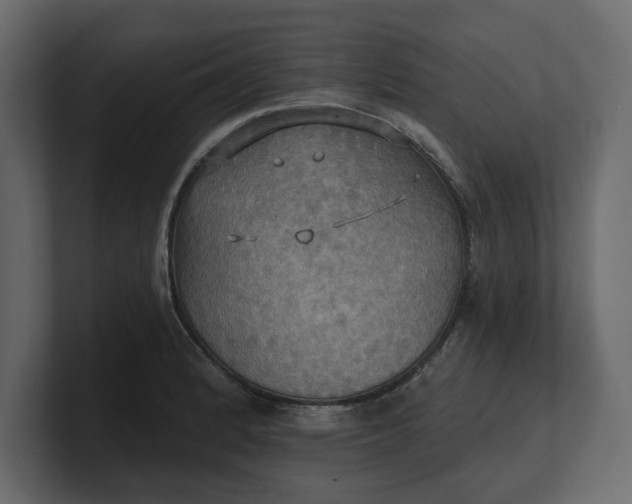 X0000100471184200806271135