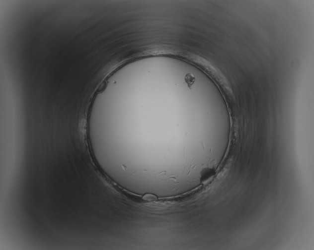 X0000100471185200806271135