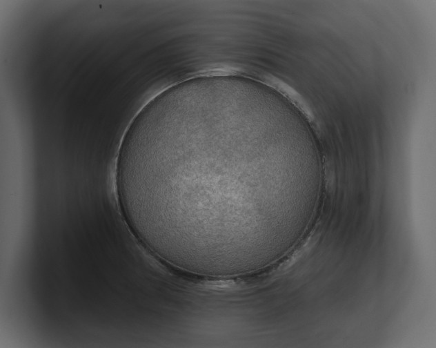 X0000100471186200806271135