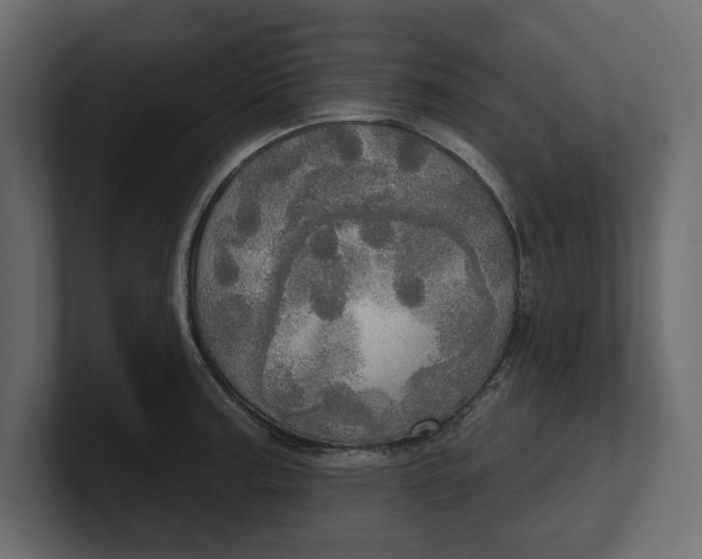 X0000100471187200806271135