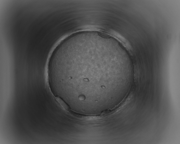 X0000100471188200806271135