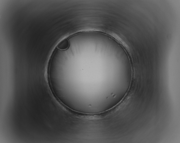 X0000100471189200806271135