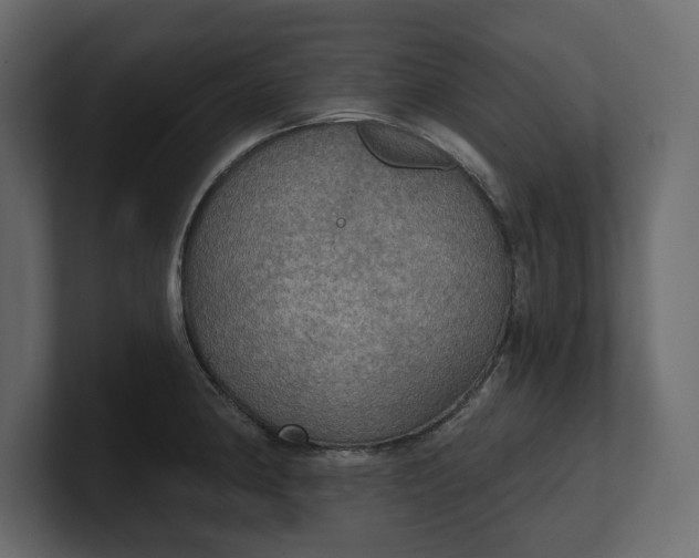 X0000100471190200806271135