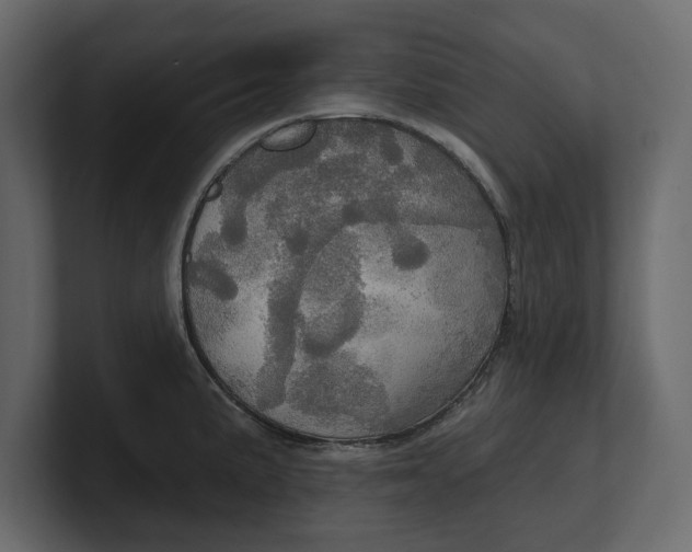 X0000100471191200806271135