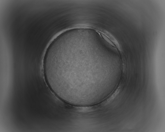 X0000100471192200806271135