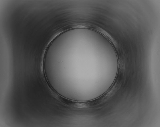 X0000100471194200806271135