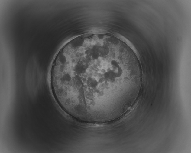 X0000100471195200806271135