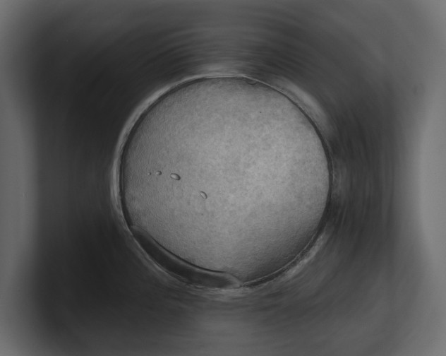 X0000100471196200806271135