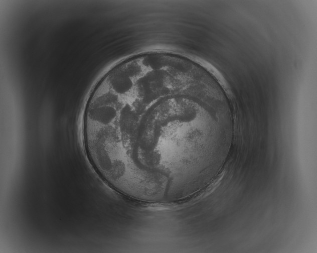 X0000100471199200806271135