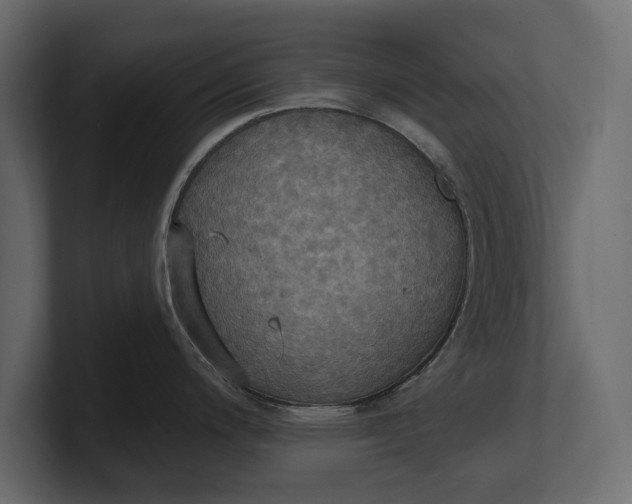 X0000100471200200806271135