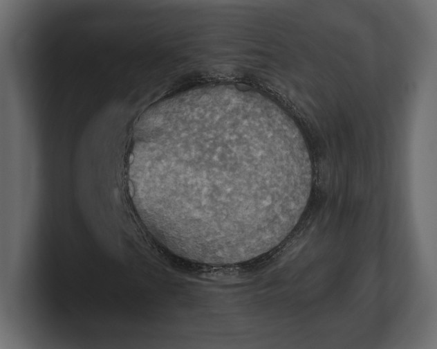 X0000100471201200806271134