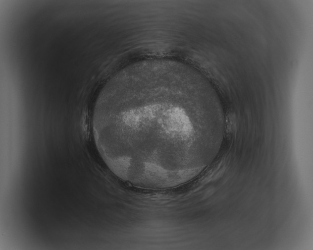 X0000100471202200806271134