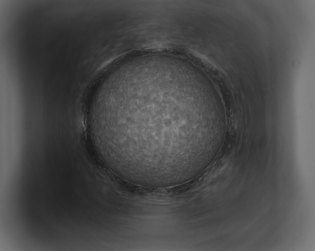 X0000100471206200806271134