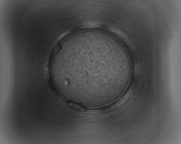 X0000100471210200806271135