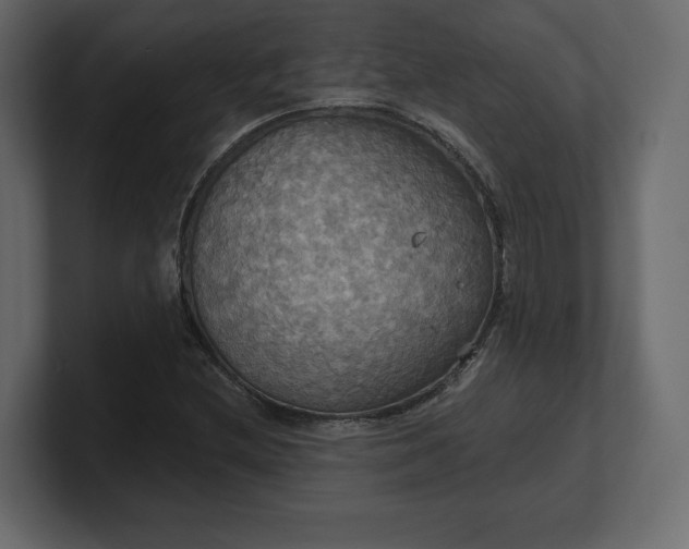 X0000100471212200806271135