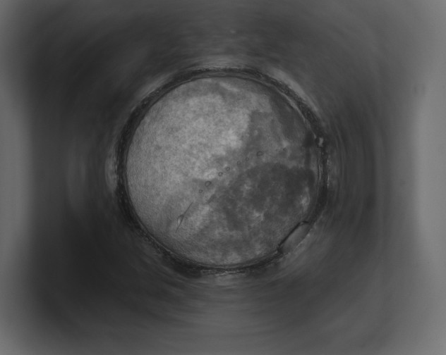 X0000100471213200806271135