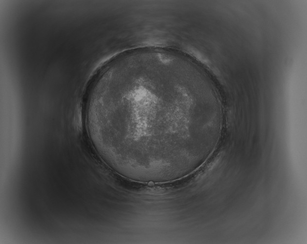 X0000100471214200806271135