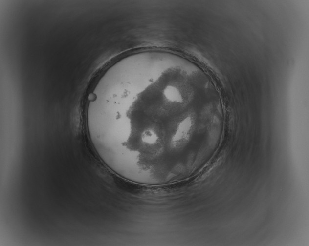 X0000100471215200806271135