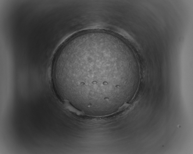 X0000100471216200806271135