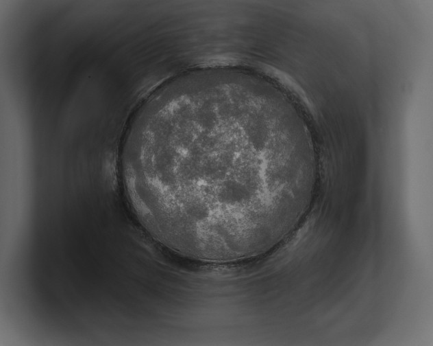 X0000100471217200806271135