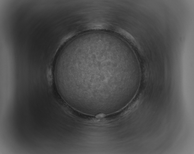 X0000100471218200806271135