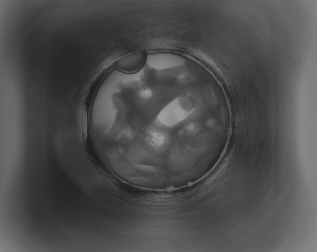 X0000100471219200806271135