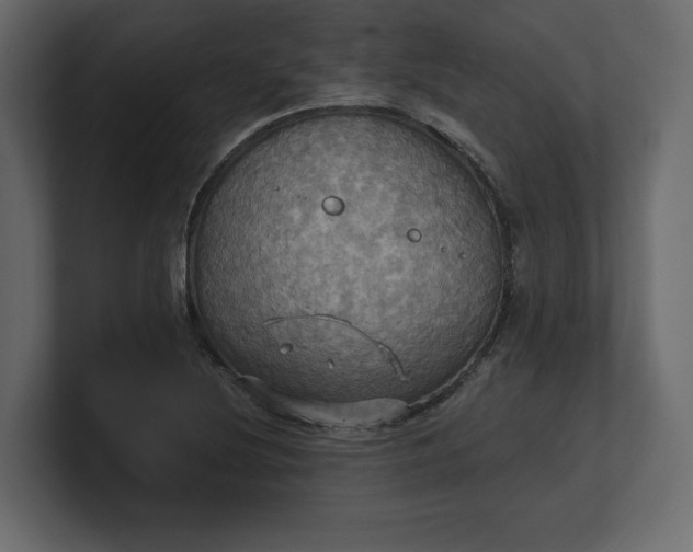 X0000100471220200806271135