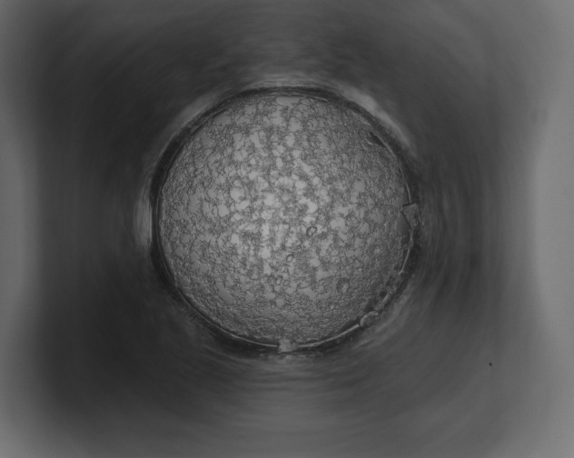 X0000100471221200806271135