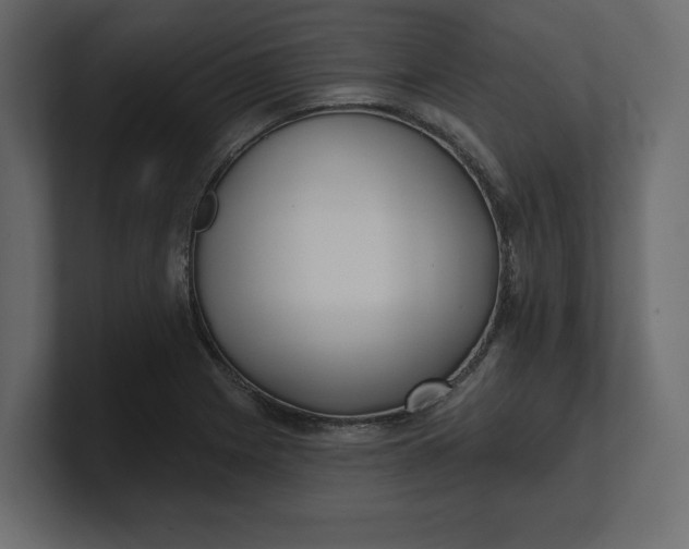 X0000100471225200806271135