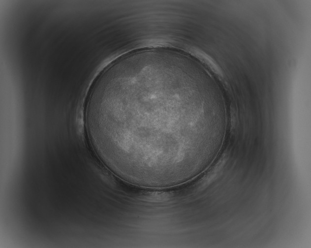 X0000100471226200806271135