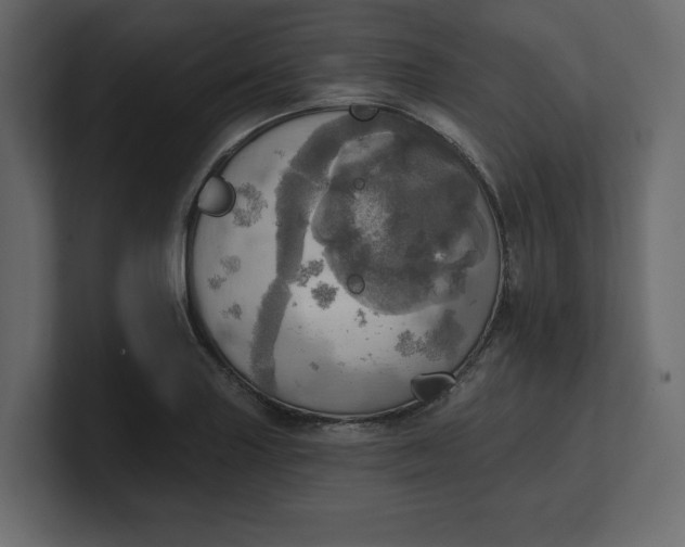 X0000100471227200806271135