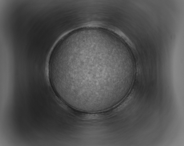 X0000100471232200806271135