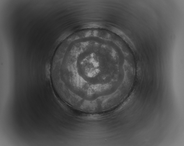 X0000100471233200806271135