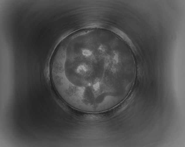 X0000100471234200806271135