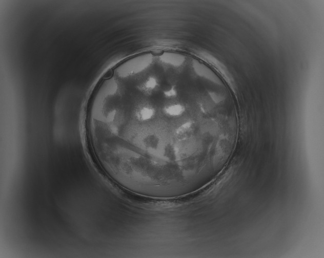 X0000100471235200806271135