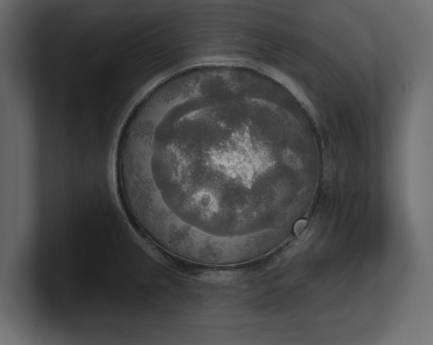 X0000100471237200806271135